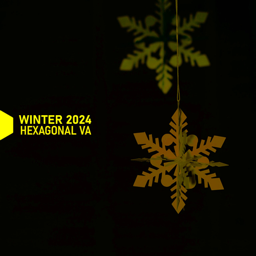 VA - Hexagonal Winter 2024 [HXVA10]